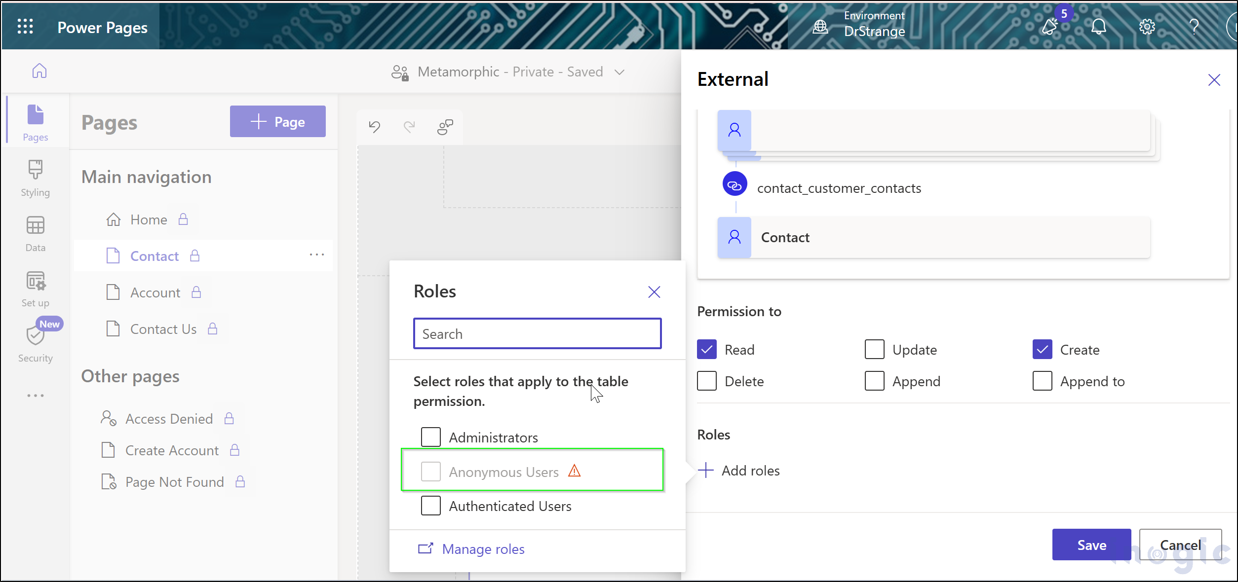 Use Governance Controls to Disable Anonymous Access in Power Pages