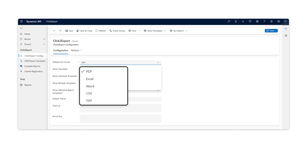 Multi-Format Export Options​